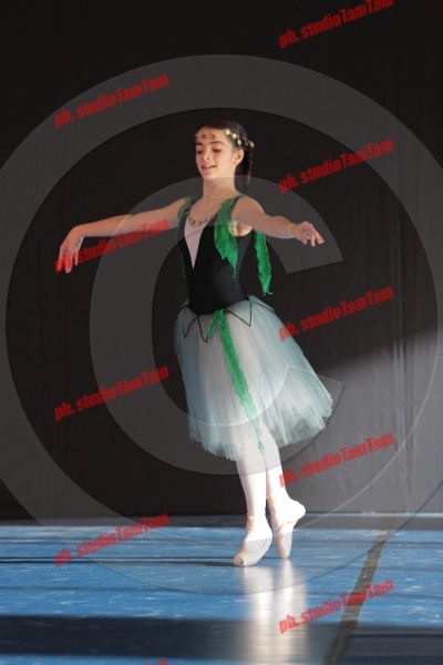 MAT_8340.JPG