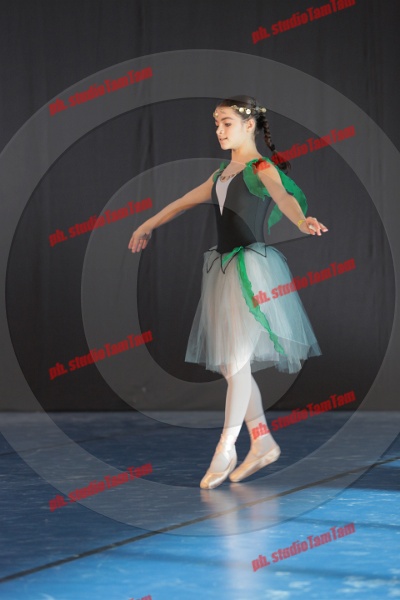 MAT_8341.JPG