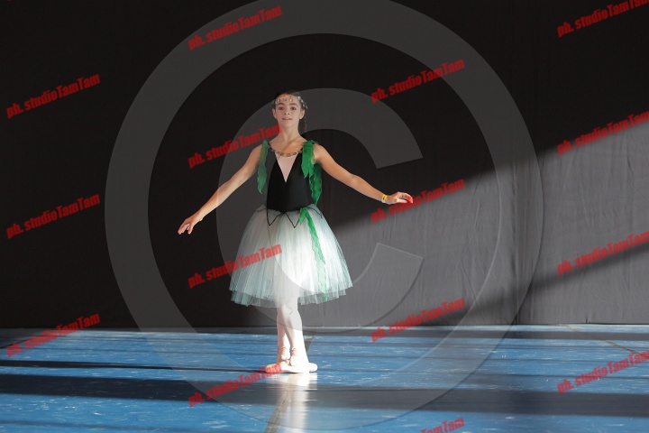 MAT_8342.JPG