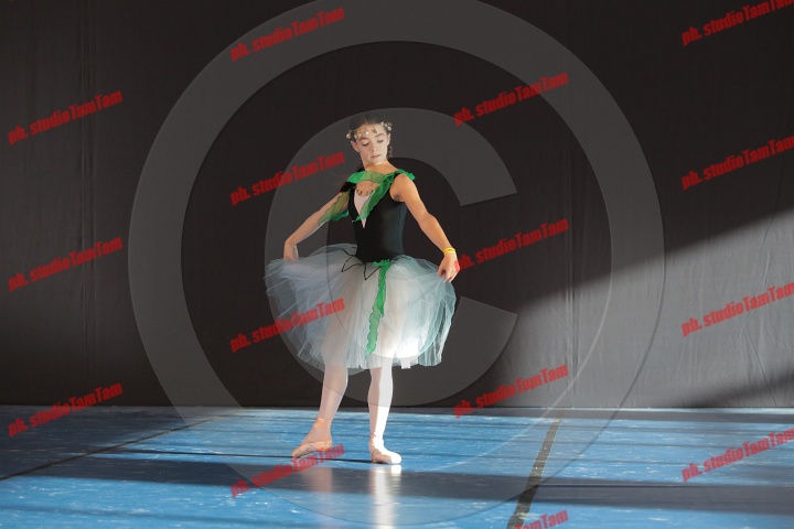 MAT_8356.JPG