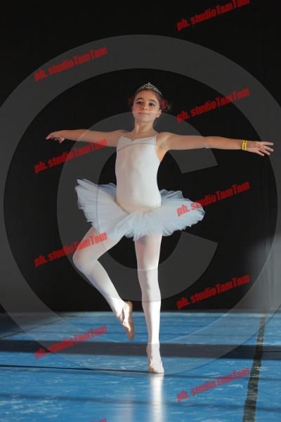 MAT_8375.JPG
