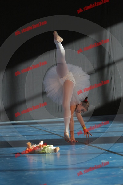 MAT_8384.JPG