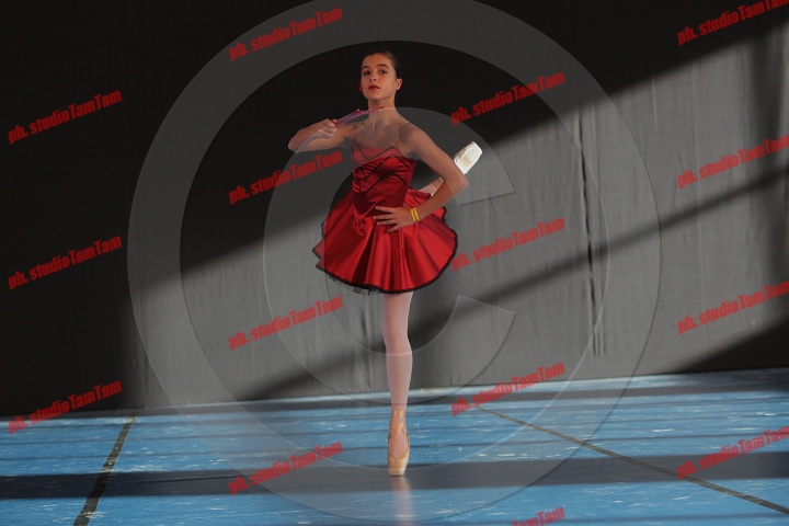 MAT_8394.JPG