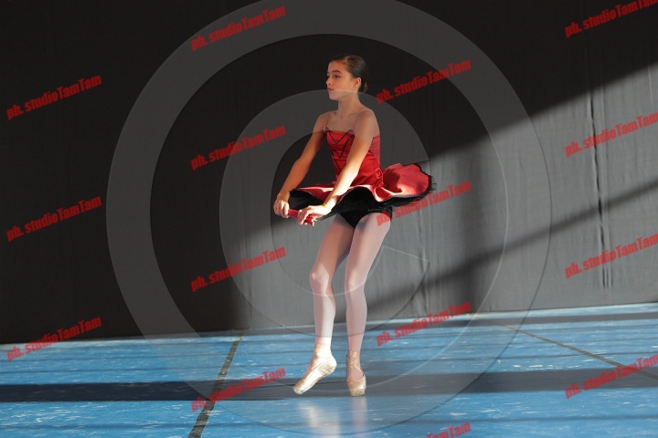 MAT_8395.JPG