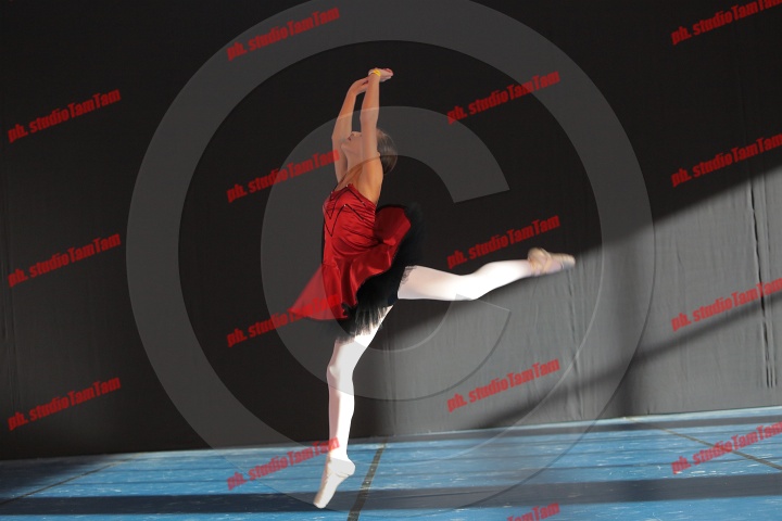 MAT_8396.JPG
