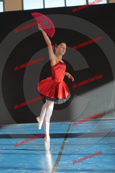MAT_8401.JPG