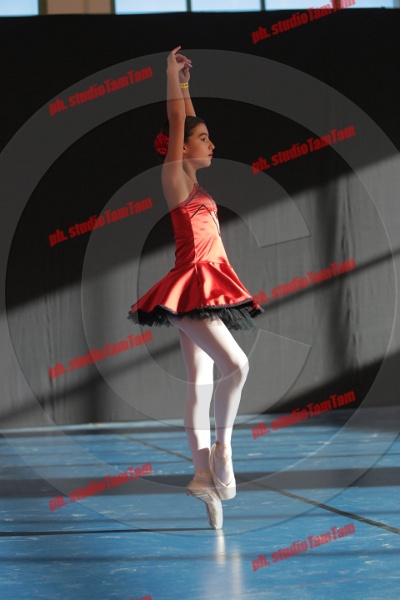 MAT_8402.JPG