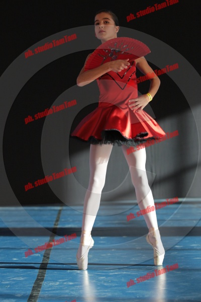 MAT_8411.JPG