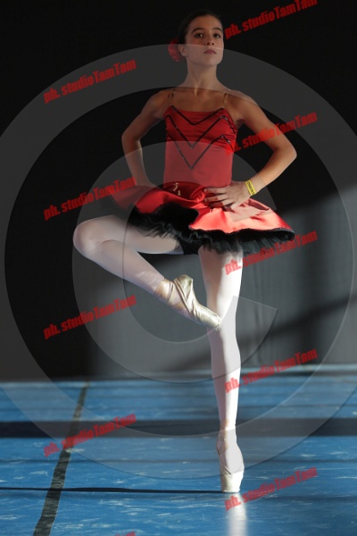 MAT_8412.JPG