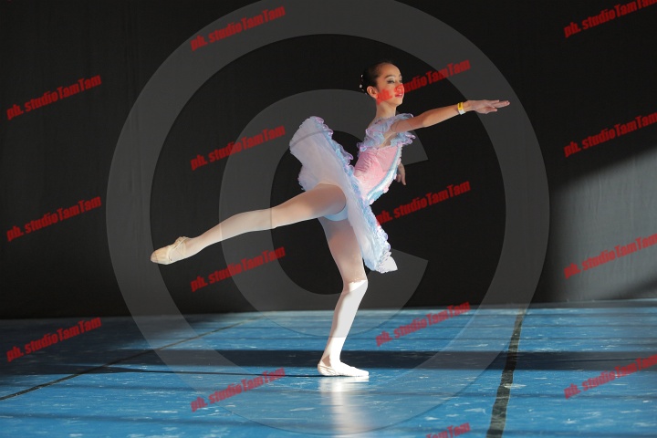 MAT_8440.JPG