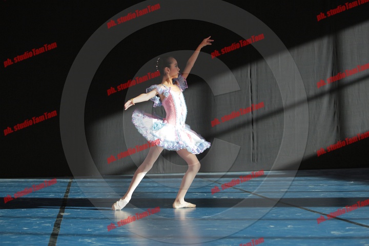 MAT_8447.JPG