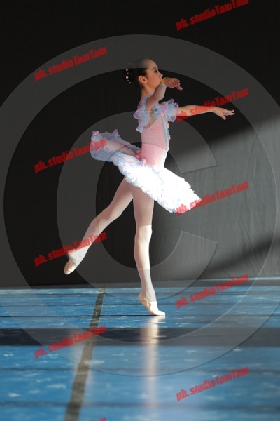 MAT_8459.JPG