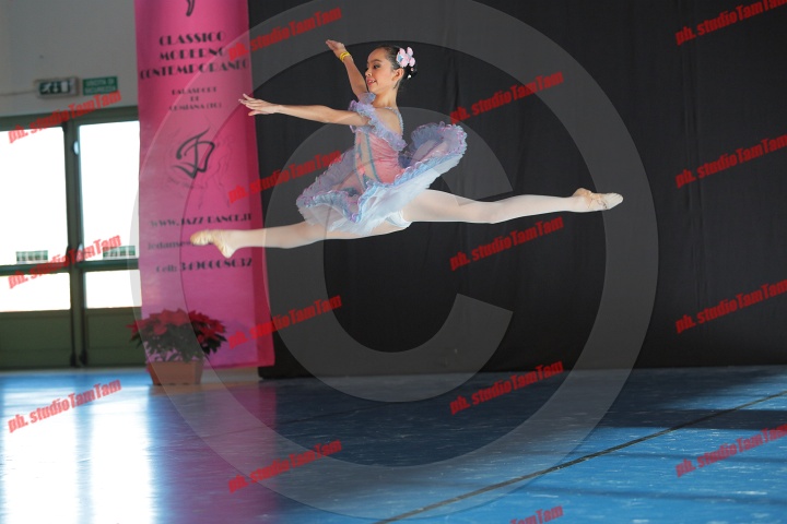 MAT_8463.JPG