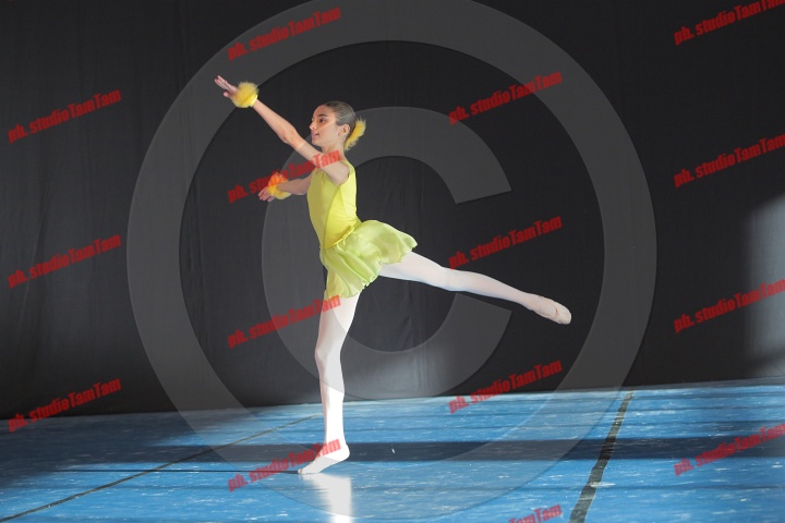MAT_8505.JPG