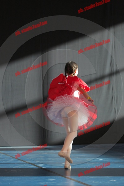 MAT_8556.JPG