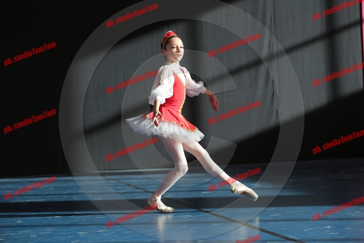 MAT_8589.JPG