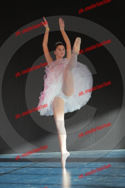 MAT_8780.JPG