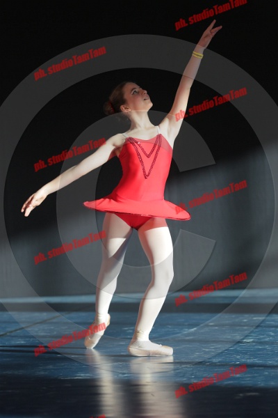 MAT_8996.JPG
