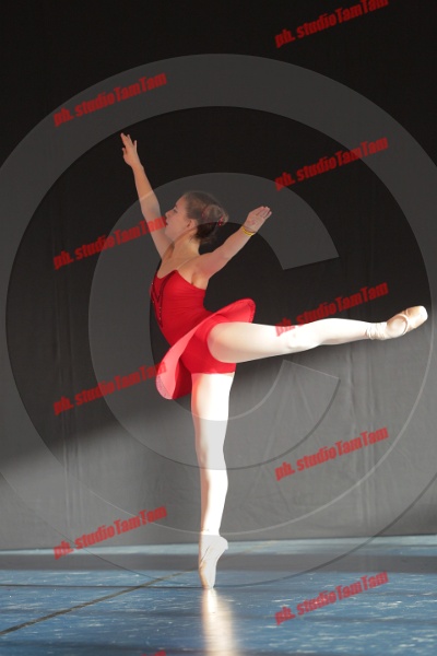 MAT_9013.JPG