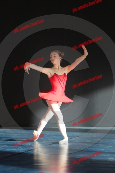 MAT_9015.JPG