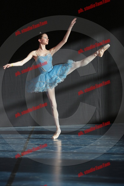 MAT_9095.JPG