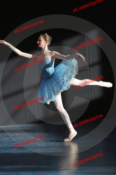 MAT_9098.JPG