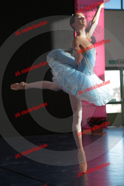 MAT_9103.JPG