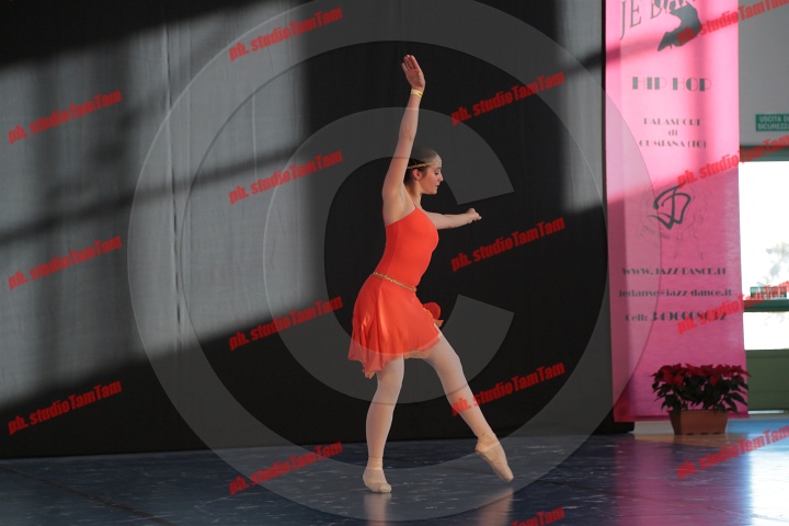 MAT_9170.JPG