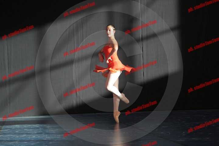 MAT_9176.JPG