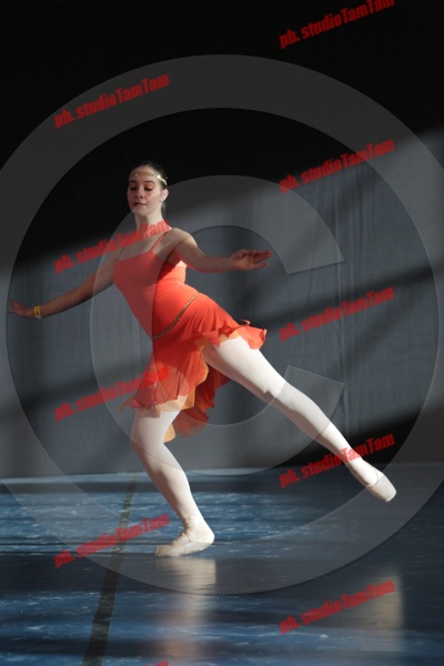 MAT_9179.JPG