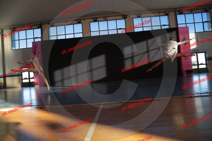 MAT_9475.JPG
