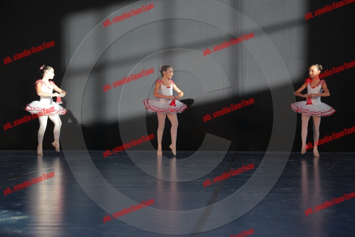 MAT_9621.JPG