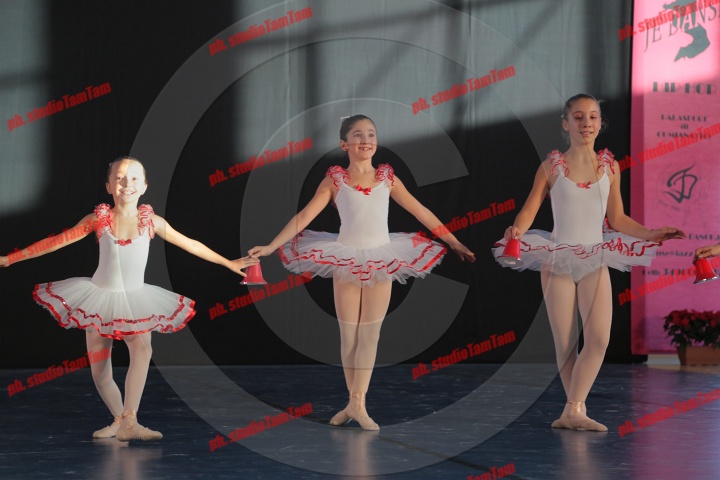 MAT_9637.JPG