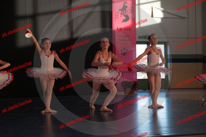 MAT_9639.JPG