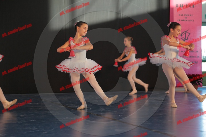 MAT_9655.JPG