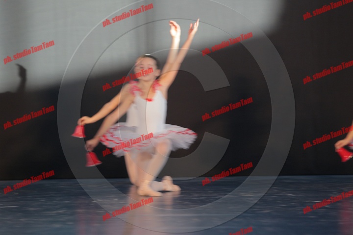MAT_9667.JPG