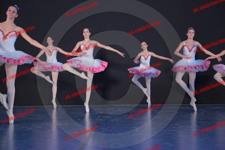 MAT_0053.JPG