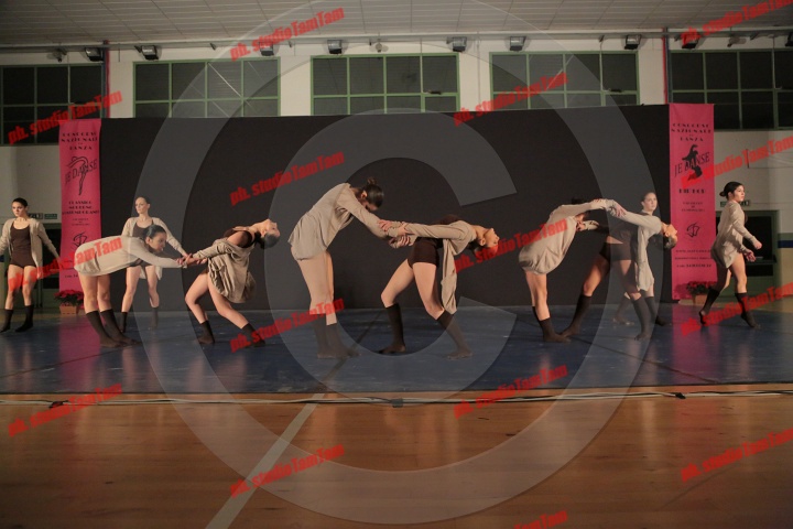 MAT_1546.JPG