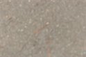 IMGB9985