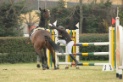 IMGB0426