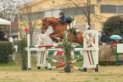 IMGB1025