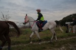 MAT_3682