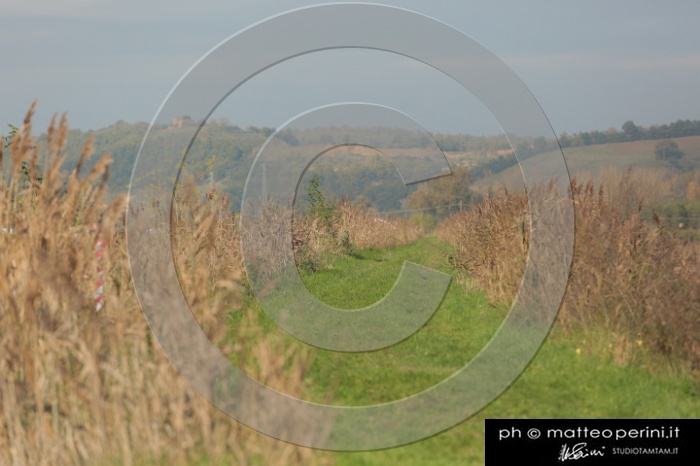 MAT_4355.JPG
