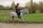 MAT_3859