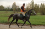 MAT_3877