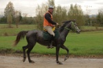 MAT_3878