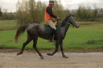 MAT_3879