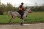 MAT_3894