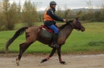 MAT_3941