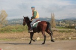 MAT_4350